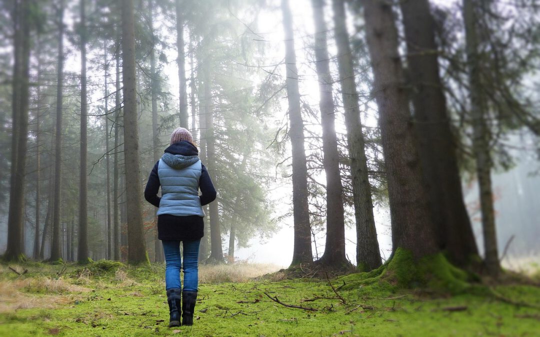 Abnehmen in den Wechseljahren: 7 Ernährungstipps