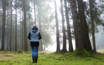 Abnehmen in den Wechseljahren: 7 Ernährungstipps